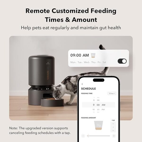 Automatic Cat Feeder - Image 3